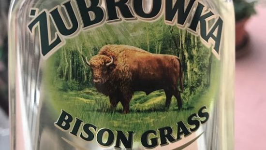 Parco Nazionale di Bialowieza: alla scoperta dei bisonti europei