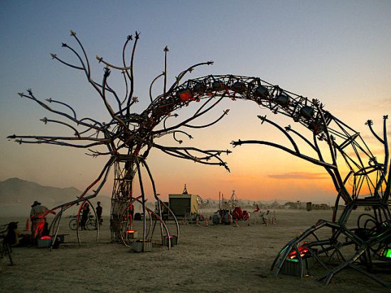 Un neurone gigante: scoperto il covo dove si nasconde la coscienza (di un topolino)