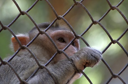 Del Buondì Motta? Chissene! Abbiamo il mal di vacanze, la cura è social