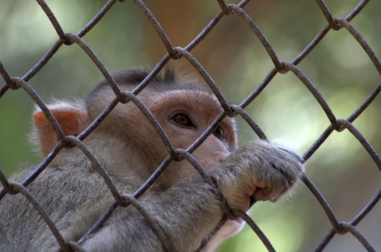 Del Buondì Motta? Chissene! Abbiamo il mal di vacanze, la cura è social
