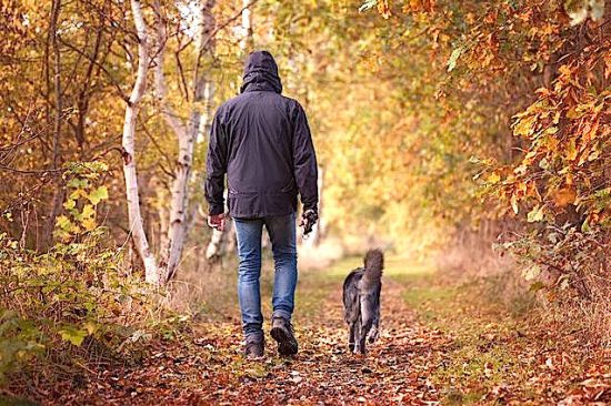 Per dare il massimo basta lavorare 4 ore al giorno. Però ti daranno del fancazzista, sappilo