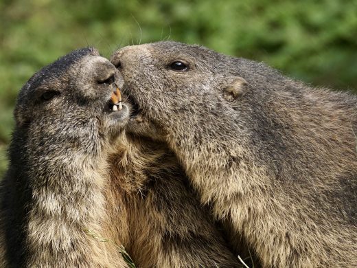 La tua vita poteva essere diversa, ma l’hai baciata male. Ah, il primo bacio
