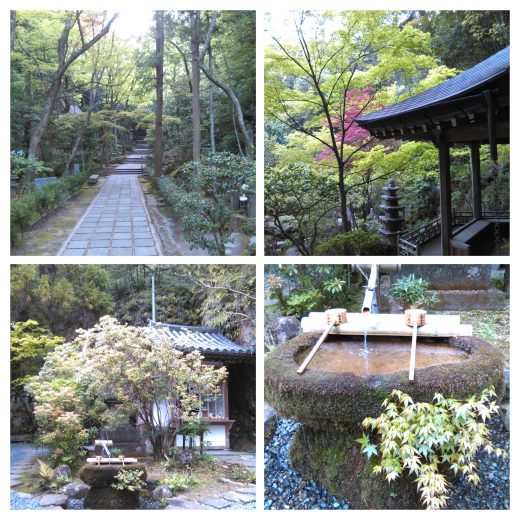 Sono Giapponese! Lesson 35. Hiroshima è la città da visitare in Giappone per immergersi nel vuoto verde