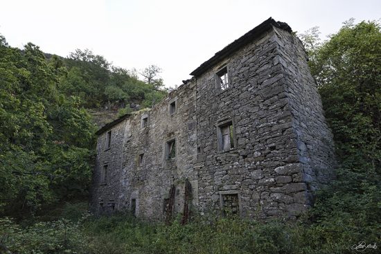 Festival della Statistica: i millennial non si riproducono. Rischio estinzione