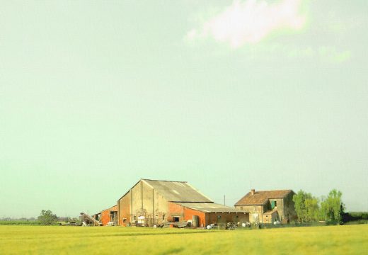 Perché la Bassa Ferrarese è la Route 66 d’Italia