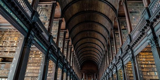 Il nome della rosa significato: ci ricorda che Google non ha tutte le risposte