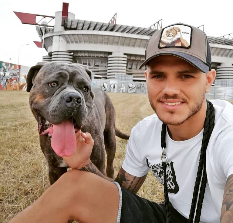 Catalogo dei MILLENNIAL: Mauro Icardi. La tua enciclopedia dei millennial