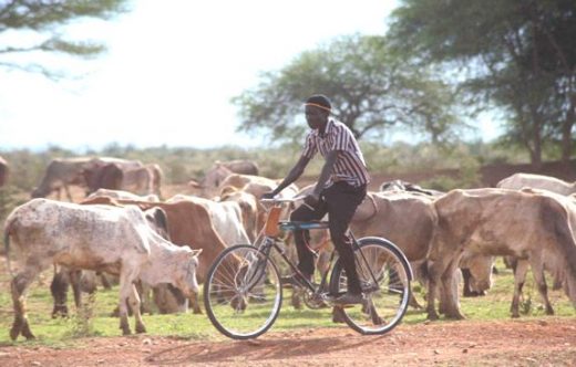 Biciclette contromano? Per mio suocero è tutta colpa dei neri