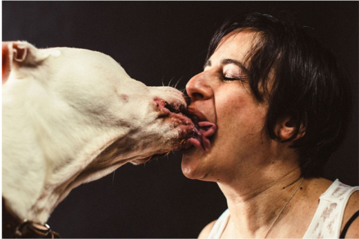 La moda del cane ha prodotto padroni fanatici ed estremisti: ecco a voi i canisti