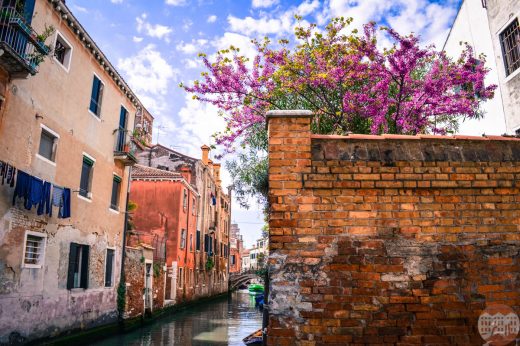 Cosa fare in 24 ore a Venezia: una guida per Millennial primaverili