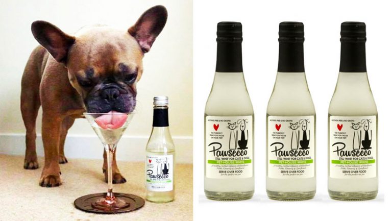 I Millennial danno ai cani il Pawsecco, il prosecco per animali. Amore o follia?