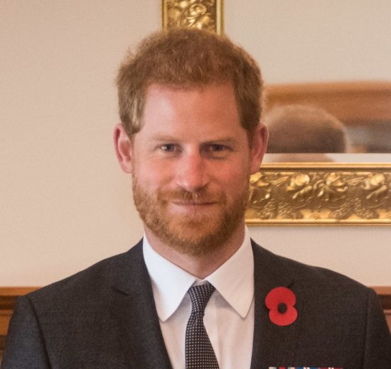 Catalogo dei MILLENNIAL: Il Principe Harry. La tua enciclopedia dei millennial