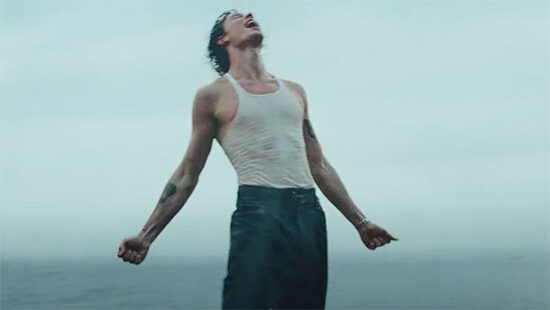 Le domande da quarantena di Wonder di Shawn Mendes…e le risposte della Luna