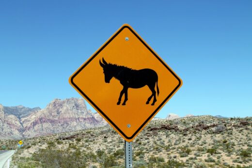 «Vuoi guadagnare velocemente? Chiedimi come». No, non lo fare. È money mule