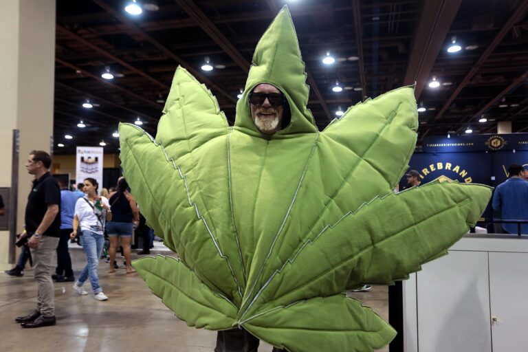 Per l’Onu la cannabis non è più una droga pericolosa: inizia l’età dell’oro della marijuana?