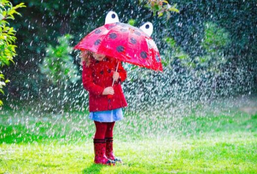 Come riconoscere le email di Phishing e simili? Consideratelo il nostro regalo di Natale