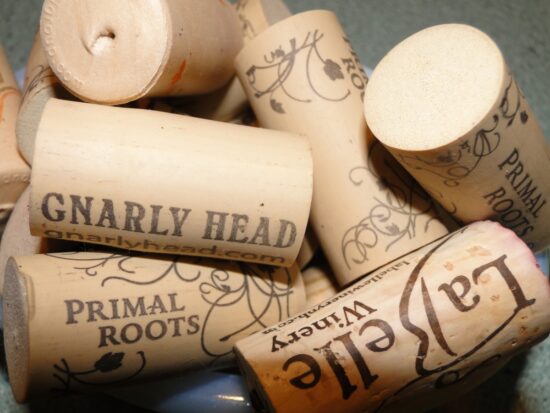 Vino, Play e Superlega: investimenti sicuri per i millennial