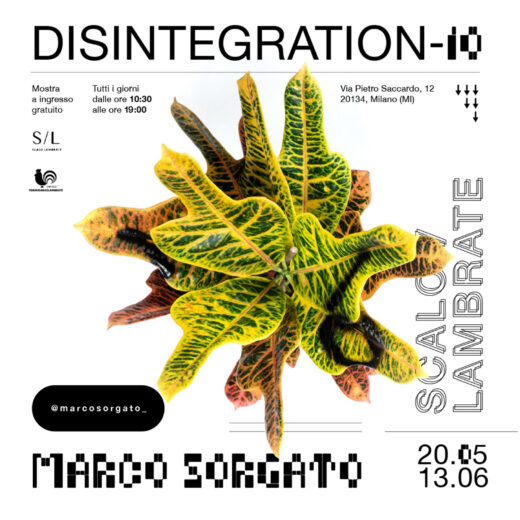 Marco Sorgato: l’artista millennial che indaga il rapporto uomo-natura