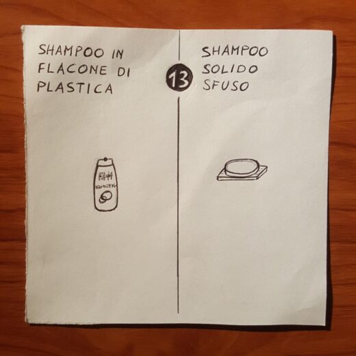 Fottutamente ecologico: lo shampoo solido