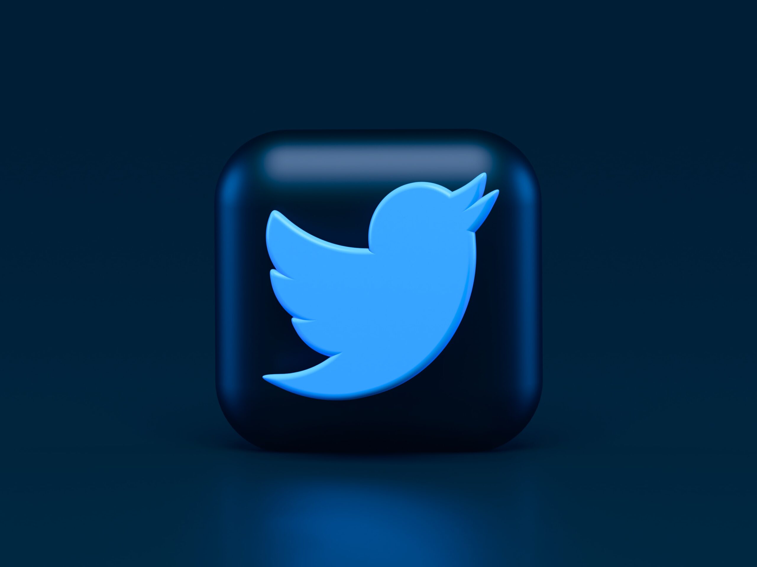 Twitter 2025