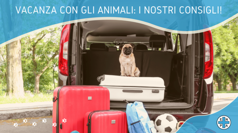 Come andare in vacanza con i propri animali. Il manuale dell’Enpa