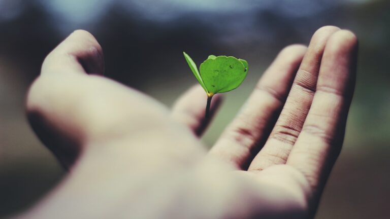 Un pianeta su cui ricominciare: prospettive di minimalismo e sostenibilità