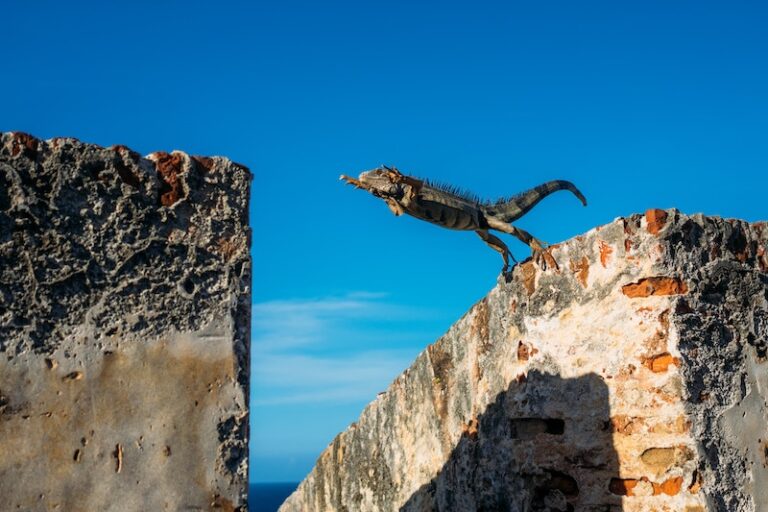 Quiet Quitting e Job Hopping, come le aziende cercano di togliere il vizio agli Zeta e ai Millennial